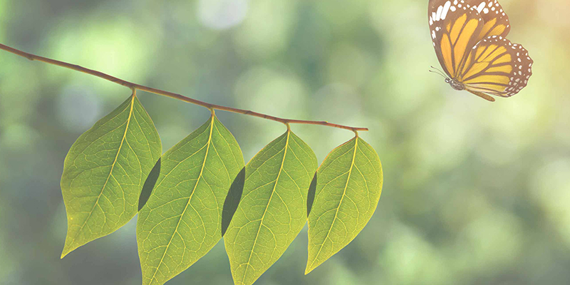 環境負荷物質調査のお問い合わせ